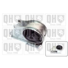QUINTON HAZELL Engine mount EM2589