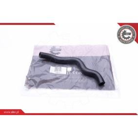 ESEN SKV Tuyau d'huile 31SKV121