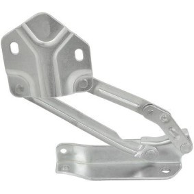 DIEDERICHS Hinge, bonnet 2297619