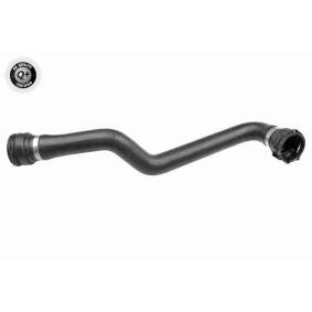 VAICO Radiator hose V20-3621