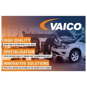 VAICO Radiatorslange V51-0134