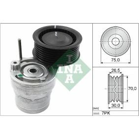 INA Tensioner Lever, v-ribbed belt 534 0603 10