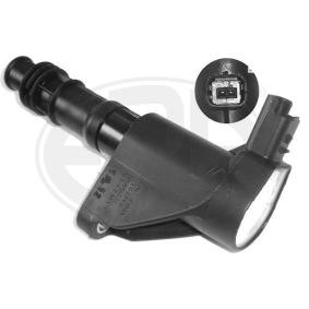 ERA Tennspole 880095A