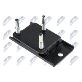 Spletna trgovina z NTY Vlezajenje, motor ZPS-NS-076