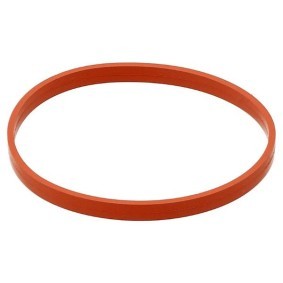 ELRING Pakninger, innsug 576.100