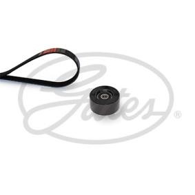 GATES V-Ribbed Belt Set K017PK1043
