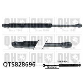 QUINTON HAZELL Heckklappendämpfer QTS828696