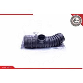 ESEN SKV Intake pipe, air filter 24SKV488