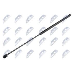 NTY Tailgate strut AE-CH-017