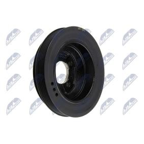 NTY Polia, cambota RKP-HY-505