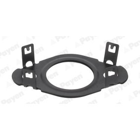 PAYEN Joint, flexible vanne EGR KK5745