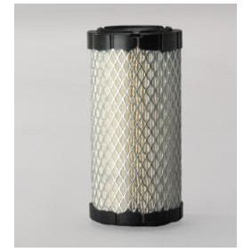 DONALDSON Filtro de ar P822686