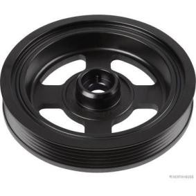 HERTH+BUSS JAKOPARTS Polia, cambota J1090520