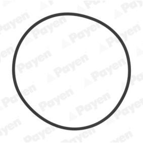 PAYEN O-Ring Set, cylinder sleeve HL5383