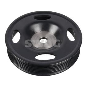 SWAG Krukaspoelie 30 10 8767