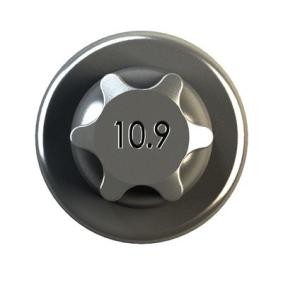 IPSA Stempelstangskrue COB00800