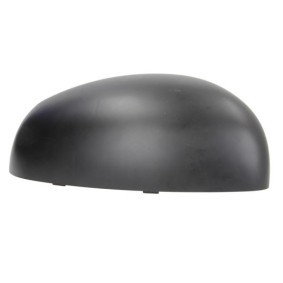 6502-08-6009205P BLIC face avant RENAULT RAPID Kasten