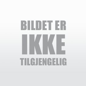 MAGNETI MARELLI Vannsirkulasjonspumpe 012316000010