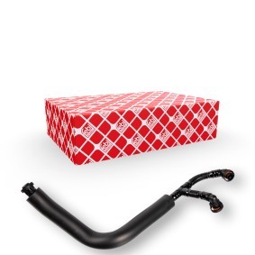 FEBI BILSTEIN Slange, veivhuslufting 170602