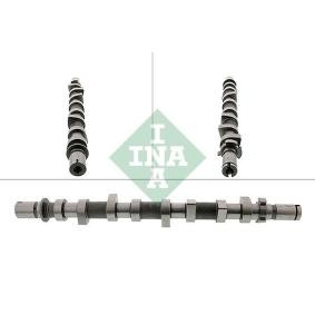INA Camshaft 428 0198 10