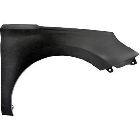 6837006 DIEDERICHS Wing panel HYUNDAI GETZ