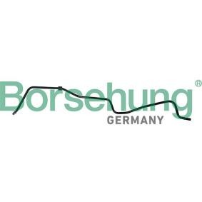 Borsehung Slange, veivhuslufting B19264