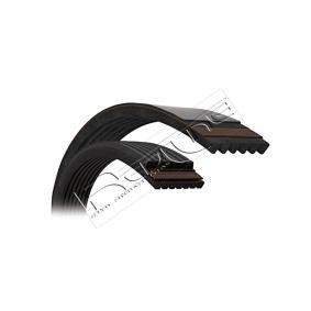 RED-LINE Multiriem 994PK865
