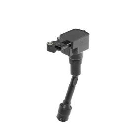 BERU Tändspole 3-polig, 12V, svart, Antal anslutningar: 1, Kontaktutförande SAE ZSE215