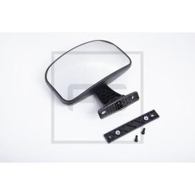 PETERS ENNEPETAL Ramp Mirror 148.103-80A