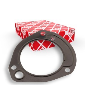 FEBI BILSTEIN Dichtung, Kraftstoffpumpe 171325