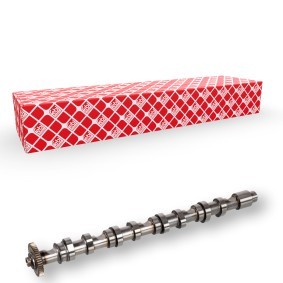 FEBI BILSTEIN Camshaft 171969