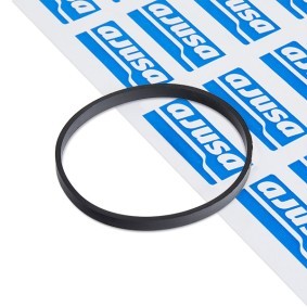 AJUSA Joint d'étanchéité, carter de collecteur d'admission 24039000