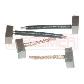 ERA Koolborstel, startmotor 233073