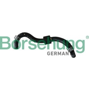 Borsehung Tuyauterie de carburant B11983