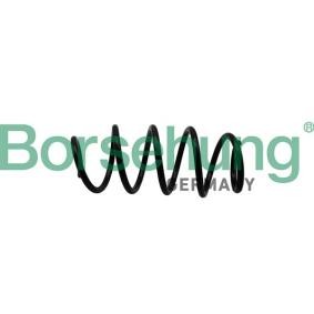 Borsehung Fahrwerksfeder Vorderachse B19305