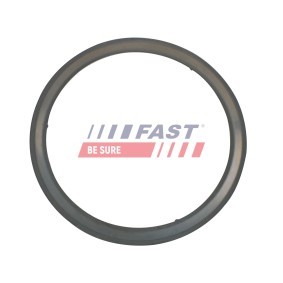 FAST Pakning, udstødningsrør FT84595