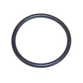 ELRING Dichtung, Thermostat 728.700