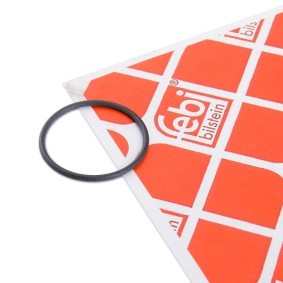 FEBI BILSTEIN Junta, bomba de combustible 172666