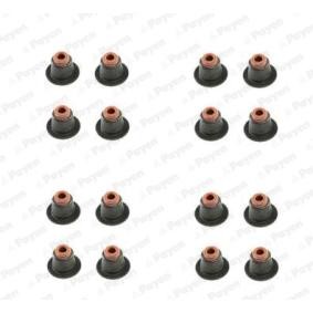 PAYEN Dichtungssatz, Ventilschaft HR5086