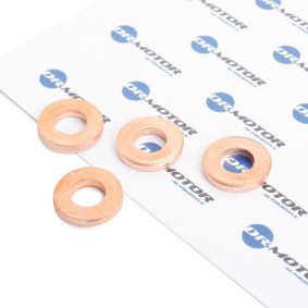 Spletna trgovina z DR.MOTOR AUTOMOTIVE Komplet tesnil, soba za vbrizgavanje DRM0198S