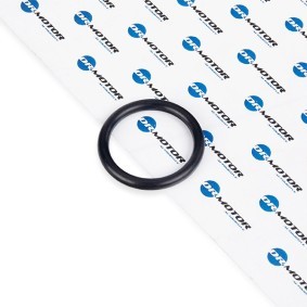DR.MOTOR AUTOMOTIVE Dichtung, Kühlmittelflansch DRM024