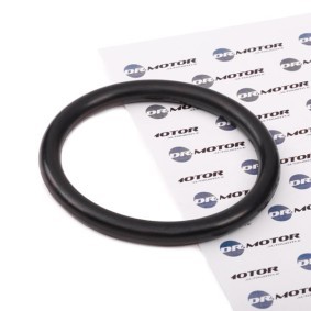 DR.MOTOR AUTOMOTIVE Joint de collecteur d'admission DRM025