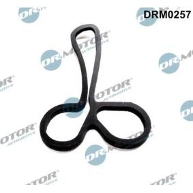 DR.MOTOR AUTOMOTIVE Junta, radiador de aceite DRM0257