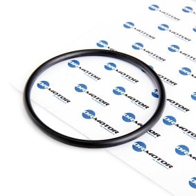 DR.MOTOR AUTOMOTIVE Tetning, innsugningsmanifold DRM026