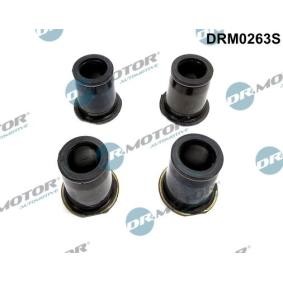 Spletna trgovina z DR.MOTOR AUTOMOTIVE Komplet tesnil, soba za vbrizgavanje DRM0263S