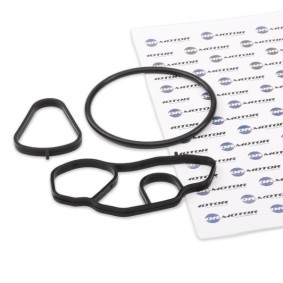 Spletna trgovina z DR.MOTOR AUTOMOTIVE Tesnilo, hladilnik olja DRM0280