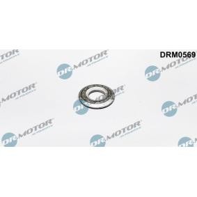 Spletna trgovina z DR.MOTOR AUTOMOTIVE Tesnilni obroc, ventil za vbrizgavanje DRM0569