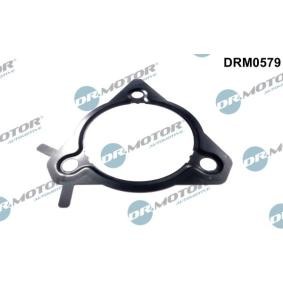 DR.MOTOR AUTOMOTIVE Junta, bomba de inyección DRM0579