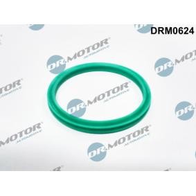 DR.MOTOR AUTOMOTIVE Tetningsring, laseluftslange DRM0624