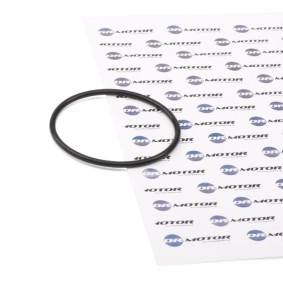 DR.MOTOR AUTOMOTIVE Joint, pompe à vide DRM0748